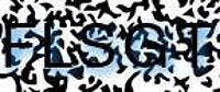 grafischer Sicherheitscode