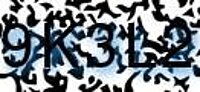 grafischer Sicherheitscode