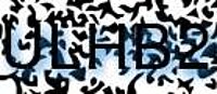 grafischer Sicherheitscode