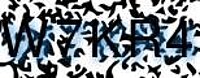 grafischer Sicherheitscode