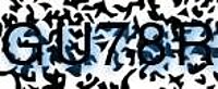 grafischer Sicherheitscode